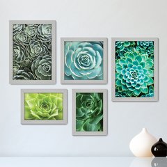 Kit Com 5 Quadros Decorativos - Suculentas - Plantas - 198kq01 - comprar online