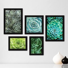 Kit Com 5 Quadros Decorativos - Suculentas - Plantas - 198kq01