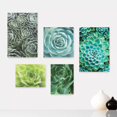 Kit 5 Placas Decorativas - Suculentas - Plantas Casa Quarto Sala - 198ktpl5