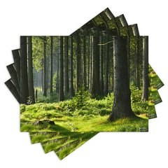 Jogo Americano com 4 peças - Floresta - Natureza - Paisagem - 2035Jo