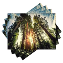 Jogo Americano com 4 peças - Floresta - Natureza - Paisagem - 2049Jo