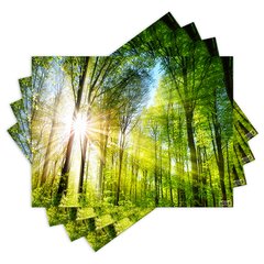 Jogo Americano com 4 peças - Natureza - Paisagem - Floresta - 2085Jo