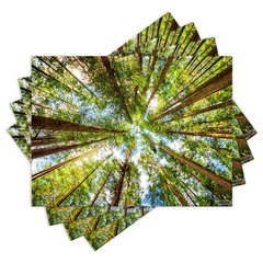 Jogo Americano com 4 peças - Natureza - Paisagem - Floresta - 2088Jo