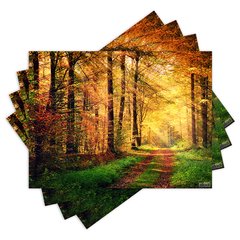 Jogo Americano com 4 peças - Natureza - Paisagem - Floresta - 2095Jo