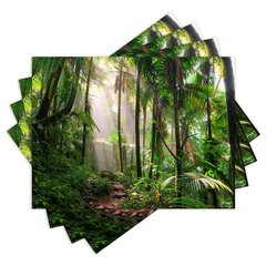 Jogo Americano com 4 peças - Natureza - Paisagem - Floresta - 2099Jo