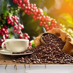 Papel de Parede Café Cafeteria Xícara Grãos Sala Painel Adesivo - 209pc