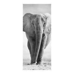 Adesivo Decorativo de Porta - Elefante - 212cnpt na internet