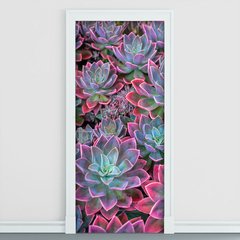 Adesivo Decorativo de Porta - Suculentas - 2198cnpt