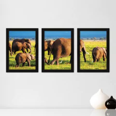 Kit Com 3 Quadros - Elefantes Campo Paisagem - 223kq02p