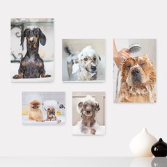 Kit 5 Placas Decorativas - Pet Shop - Cachorro - Animais - Veterinário Casa Quarto Sala - 248ktpl5