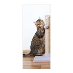 Adesivo Decorativo de Porta - Gato - Pet Shop - 2673cnpt na internet