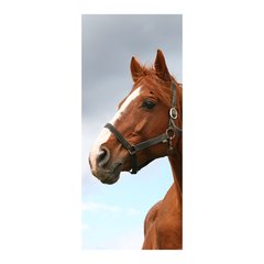 Adesivo Decorativo de Porta - Cavalo - 267cnpt na internet