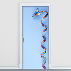 Adesivo Decorativo de Porta Autismo Psicologia Consultório Infantil - 2791mlpt - Allodi