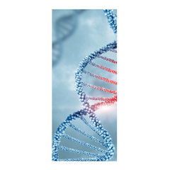 Adesivo Decorativo de Porta Laboratório Dna Clínica Médica - 2792mlpt na internet