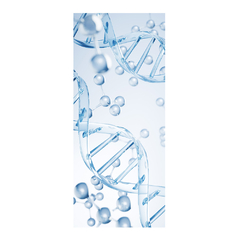 Adesivo Decorativo de Porta Laboratório Dna Clínica Médica - 2793mlpt na internet
