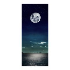 Adesivo Decorativo de Porta - Luar - 349cnpt na internet