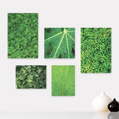 Kit 5 Placas Decorativas - Folhas Natureza Folhagem Verde Casa Quarto Sala - 364ktpl5