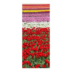 Adesivo Decorativo de Porta - Tulipas - Flores - 396cnpt na internet