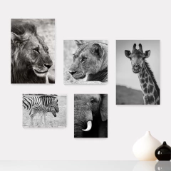 Kit 5 Placas Decorativas Safari Animais Infantil Bebe Baby Quarto Menino Menina Escola - 439ktpl5