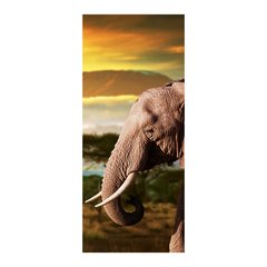 Adesivo Decorativo de Porta - Elefante - 479cnpt na internet