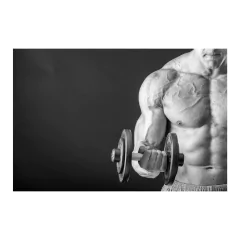 Painel Adesivo de Parede - Fitness - Academia - 646pn - comprar online