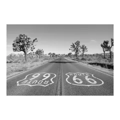 Painel Adesivo de Parede - Rota 66 - 737pn - comprar online