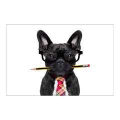 Painel Adesivo de Parede - Cachorro - Pet Shop - 776pn - comprar online