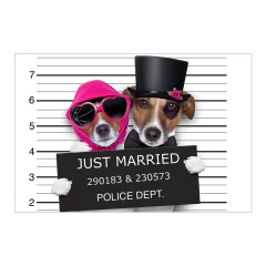 Painel Adesivo de Parede - Cachorros - Pet Shop - 779pn - comprar online