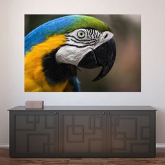 Painel Adesivo de Parede - Arara-Canindé - 783pn
