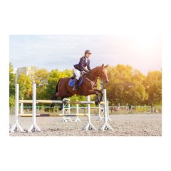 Painel Adesivo de Parede - Cavalo - Hipismo - 807pn - comprar online