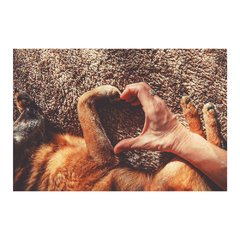 Painel Adesivo de Parede - Cachorro - Pet Shop - 847pn - comprar online