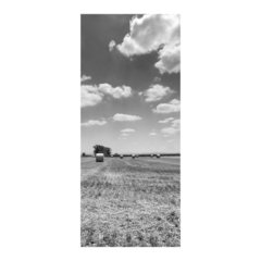 Adesivo Decorativo de Porta - Paisagem - Natureza - 938cnpt na internet