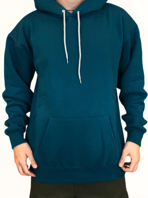 HOODIE DTS BASIC (SWEDTS001)