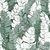 MURAL BOTANICO 025