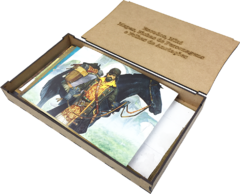 Organizador para A Ilha do Tesouro - comprar online