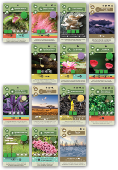 Earth - Caixinha Boardgames