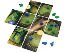 Bullfrogs na internet