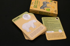 50 Animais de Zoológico