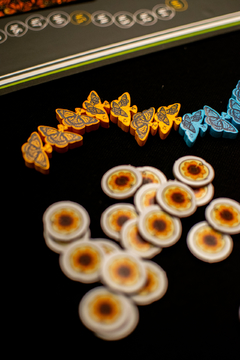 Mariposas