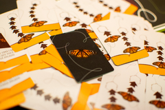 Mariposas na internet