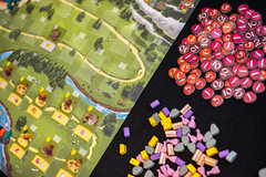 Caylus 1303