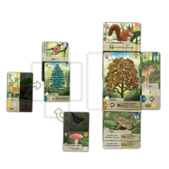 Forest Shuffle na internet