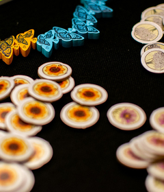 Mariposas - Caixinha Boardgames