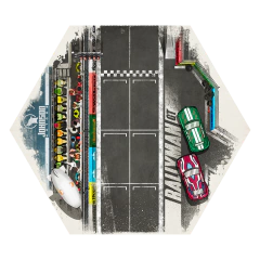 Championship - Exp Rallyman GT - loja online