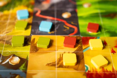 Roam - Caixinha Boardgames