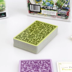 Village Green + sleeves - Caixinha Boardgames