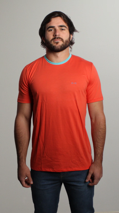 REMERA BASICA COMBINADA (REMC001)