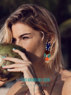 Aros Cebra - comprar online