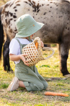 Piluso Verde Seco - Minoli