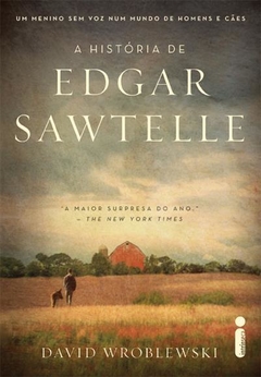 A HISTÓRIA DE EDGAR SAWTELLE - DAVID WROBLEWSKI